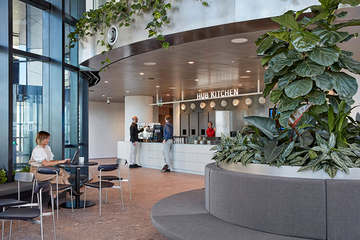 Дизайн офиса с каскадными растениями в центре города Брисбен от Cox Architecture
