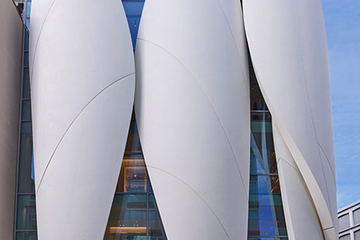 Дизайн фасада для Dior в Женеве в виде переплетающихся лепестков